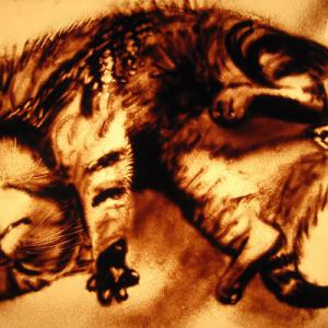 Le matou - Lorène Bihorel